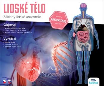 Albi - Lidské tělo