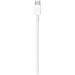 Apple Lightning to USB Cable (1m)