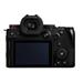 Panasonic LUMIX S5 M2 + Lumix S50 f/1.8 kit blk