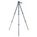 Vanguard stativ tripod Vesta 203AP